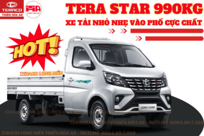 Xe tải nhỏ nhẹ Tera Star 990kg vào phố